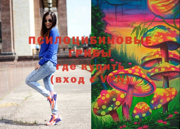 метамфетамин Алексин