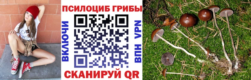 Галлюциногенные грибы мицелий  Мензелинск 