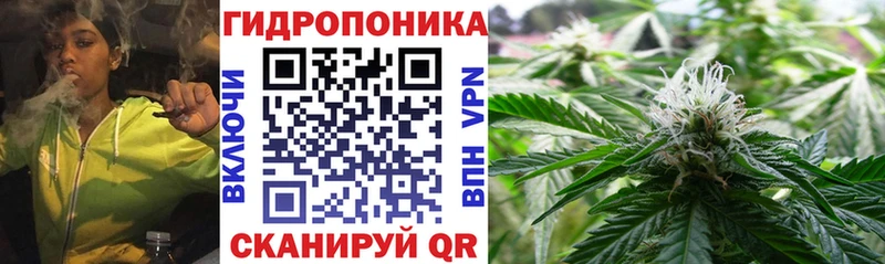 что такое Мензелинск Шишки марихуана сатива